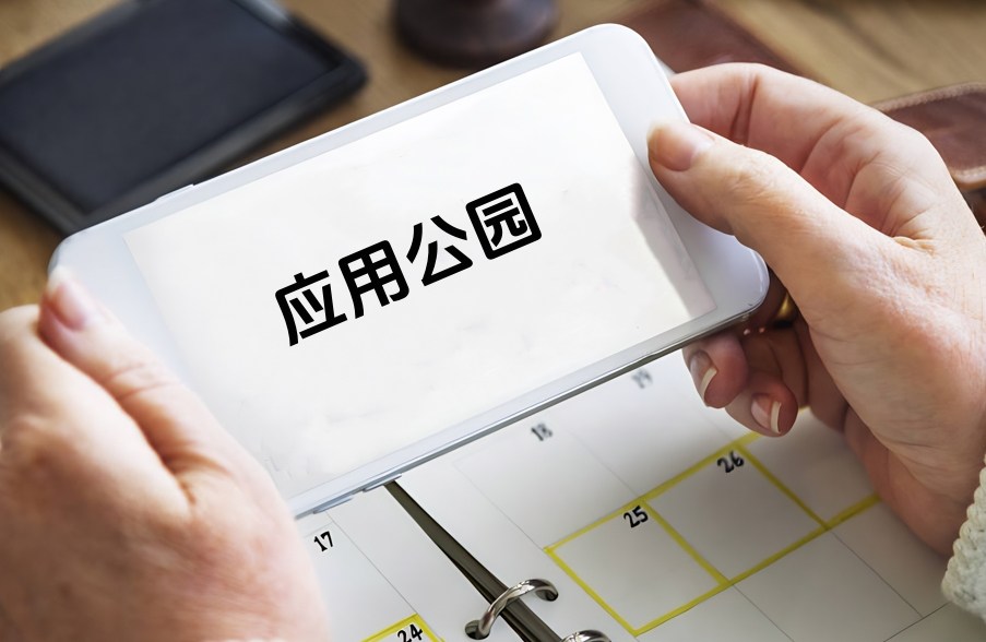 手机软件原生APP开发_核心功能的构建与完善‌